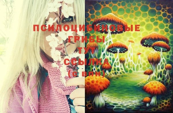 круглые Белокуриха