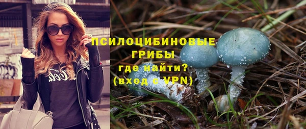 индика Белоозёрский