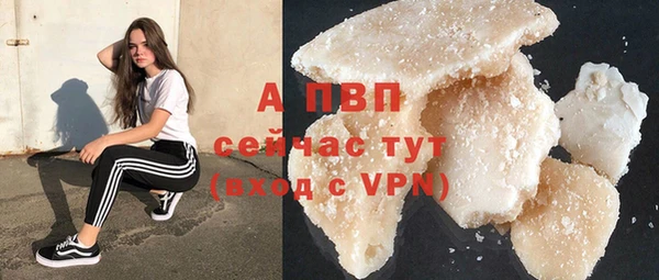 круглые Белокуриха