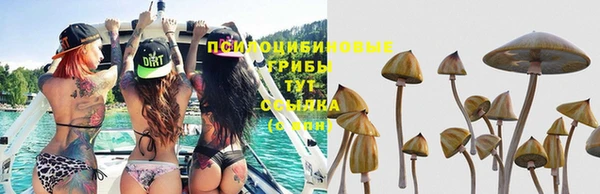 марихуана Беломорск