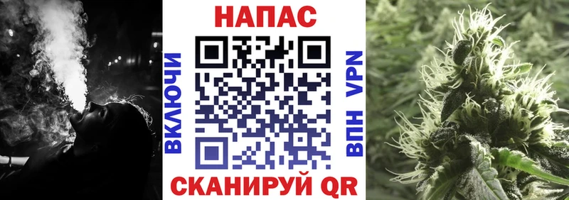 Канабис планчик  Ершов 